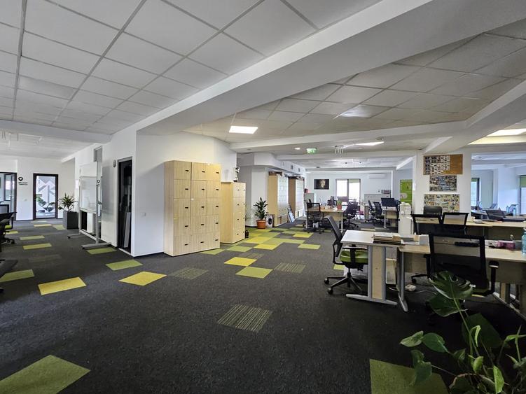 Cladire individuala - 20 locuri de parcare- Gradina Icoanei - 4