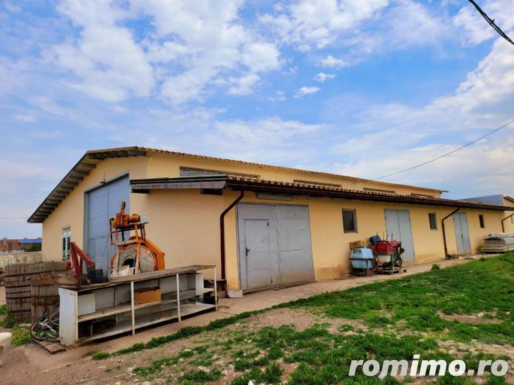 Domeniu, 9,5 ha, 25 KM de Timisoara - 12