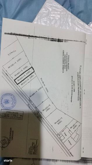 Teren Intravilan 1150mp, Timisu de Jos, Dambul Morii - 1
