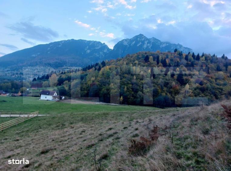 Teren zona Plaiu Foii - 3