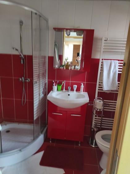 Casa de vanzare la Curtici complet renovata compusa din doua cladiri - 1