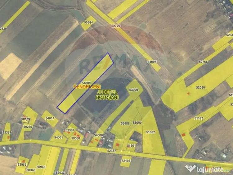 Teren extravilan 12000 mp- Padureni-?endriceni, Boto?ani - 3