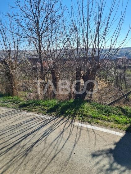 Casa de vanzare in comuna Cut Judetul Alba - 12