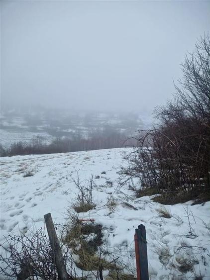 RECO, teren extravilan, Zona Sinteu, Bihor - 6