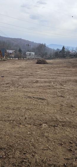 Vand teren clisura dunari - 6