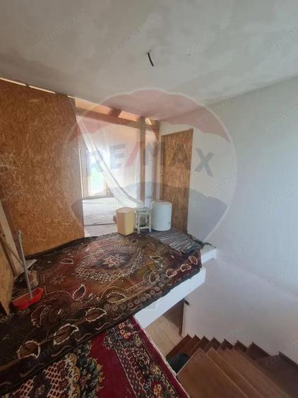 Casa cu 5 camere de vanzare (P+M) in comuna Bolotesti si teren 6266 mp - 13