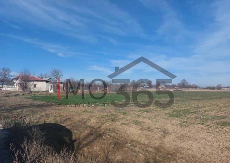 Teren intravilan loturi Parvu Rosu 500 mp - aproape de Pites - 5