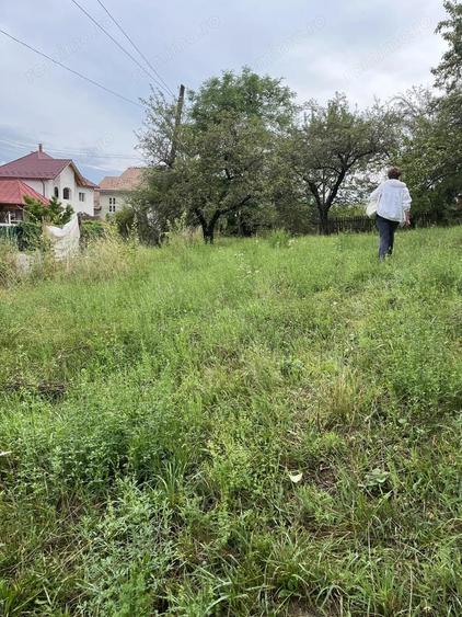 VAND TEREN PENTRU CONSTRUCTII, COM.CETATENI - ARGES - 1