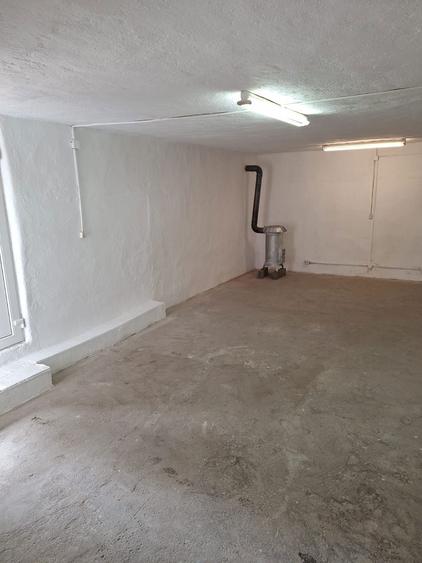 Inchiriez spatiu in Turnisor - 1