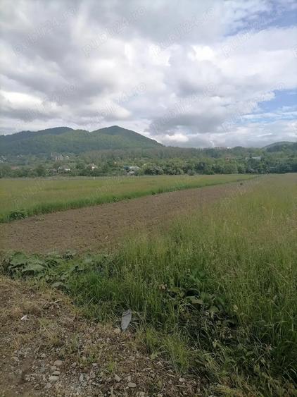 Teren 3000 mp intravilan Viisoara - 5