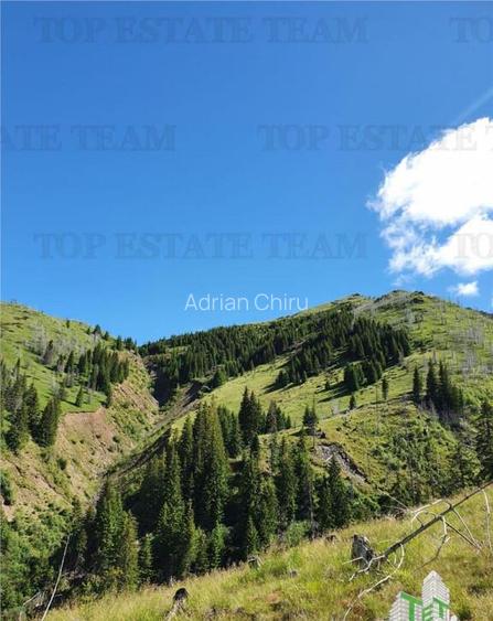 SUPER OPORTUNITATE, DE VANZARE O PROPRIETATE SPECIALA, MUNTE