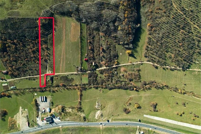 Teren 7744 mp la Coada Noului Lac de Agrement Baile Felix - 1