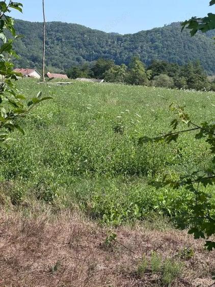 Teren 3600 mp Cheile Nerei Peisaj de poveste! Oportunitate excelenta! - 4