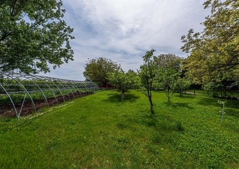 Vila de vis Snagov - Proprietate unică cu deschidere la lac, 37 camere si 7 bai - 10