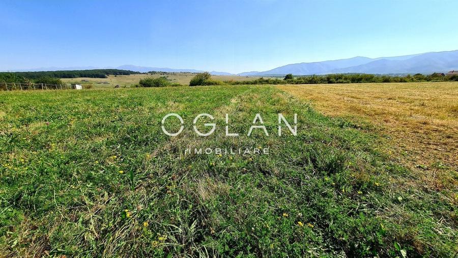 Teren Intravilan Intrare Cisnadie 2325 mp deschidere 25 ml - 1