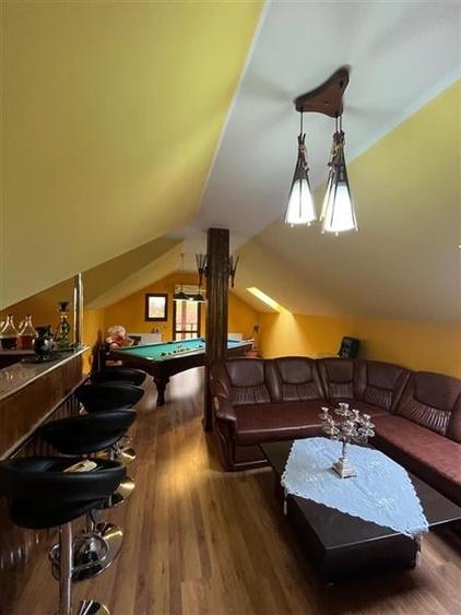 Vila superba Oancea DN teren1171mp - 9