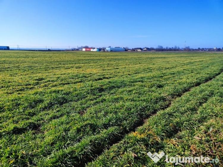 Teren intravilan pretabil parc fotovoltaic 43000mp - 1