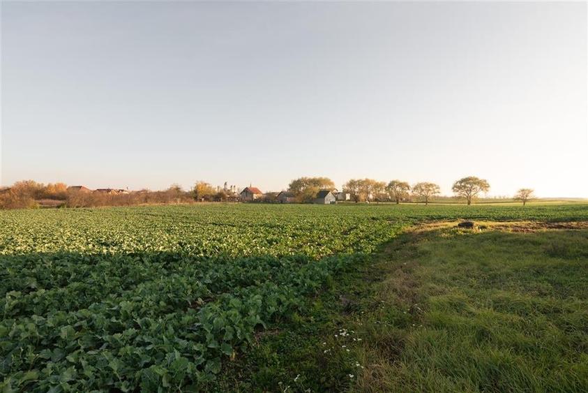 RECO casa Inand la rosu cu teren imens - 21