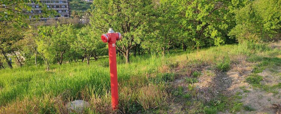 Teren Spitalul Judetean - 4