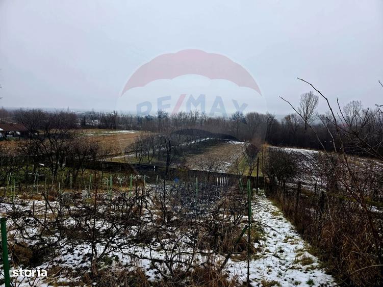 Teren intravilan 4,516mp Doina - 7