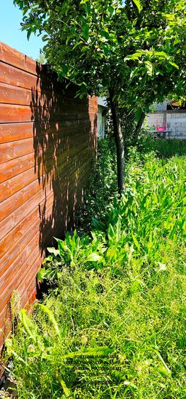 Proprietate Dumbrava Rosie, Vila S+P+E si teren - 14