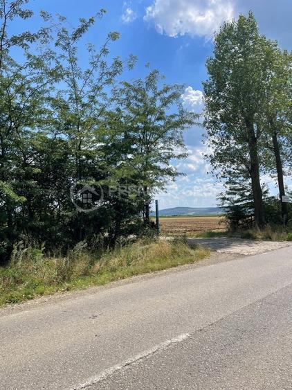 Teren 7.000mp, Miroslava - Liliac - 6