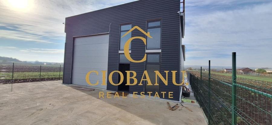 Hala de vanzare in Racari de Jos - 20