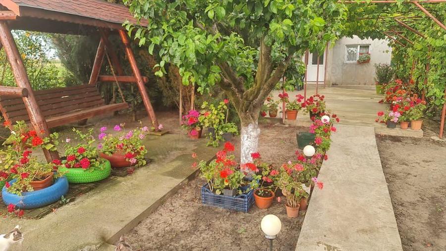 Casa + curte Chirnogi, jud.Calarasi - 8