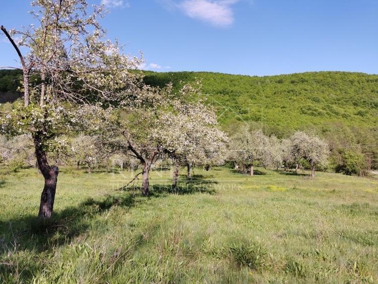 Teren de Vânzare, Budeasa Mica – Potrivit pentru Casă de Vacanță sau Investiție - 8