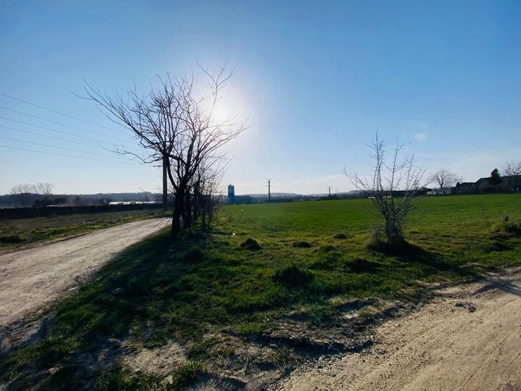 Teren investiție 5.500 mp lângă A2 – dublă deschidere 55 m / 101 m – utilități - 6