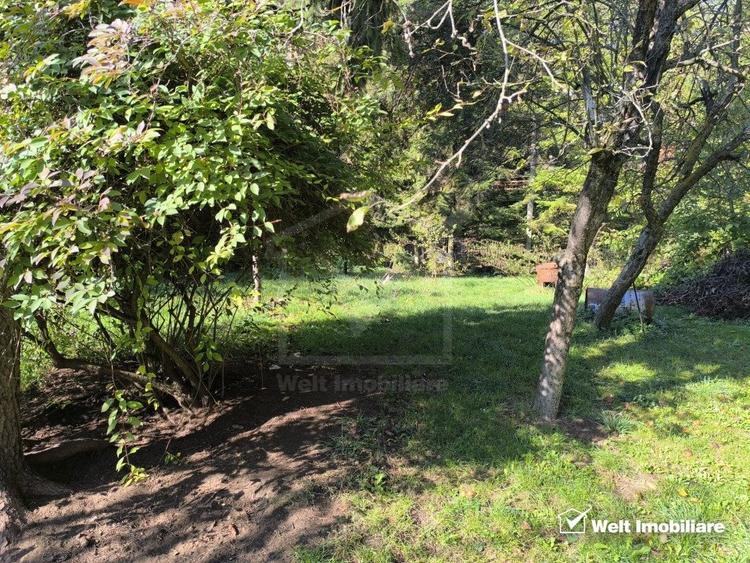 Casa veche, 3 camere, 978 m.p. teren, Grigorescu, locatie de vis - 8