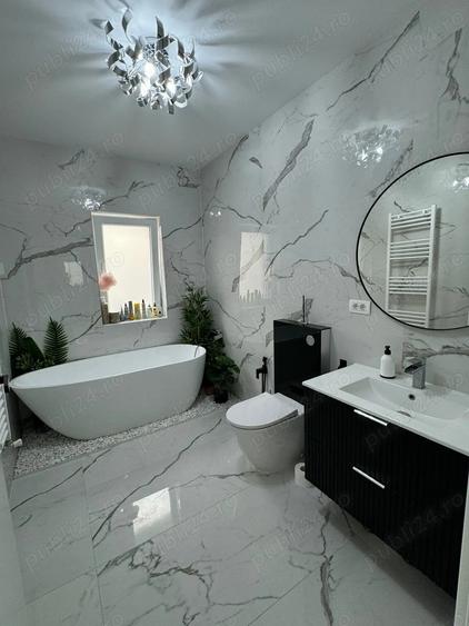 Vand casa Dumbravita - 2