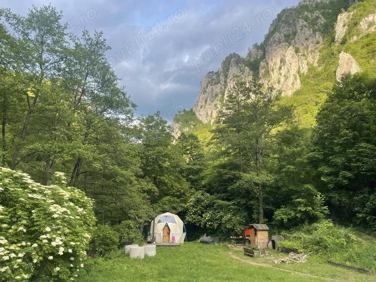 Oportunitate unica ! Proprietate in parc na?ional pe malul Cernei ! - 9