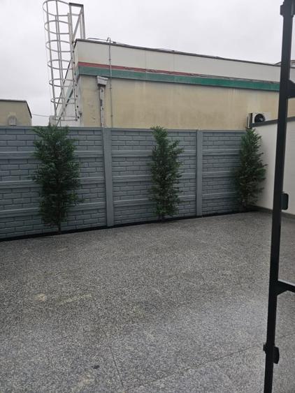 2 camere Colentina Parter Bloc Nou Parcare Subterana + Curte/Terasa - 19