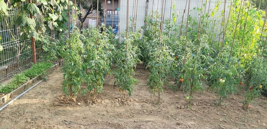 Vand vila p+1+pod - 1