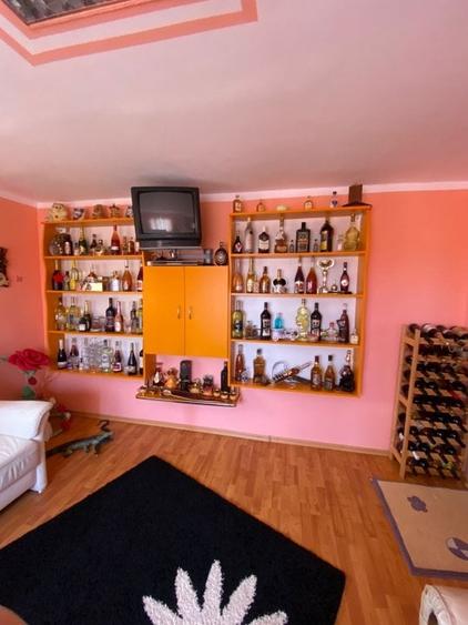 Casa noua + casa renovata in Cucorani - 3