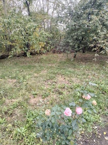 Movilita, Ialomita, DN2 - 8