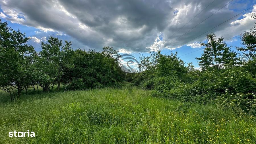 Teren de 3600 mp, în Gura Vitioarei