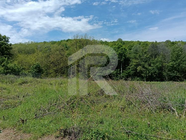 intravilan Tiparesti, relaxare aproape de padure - 2