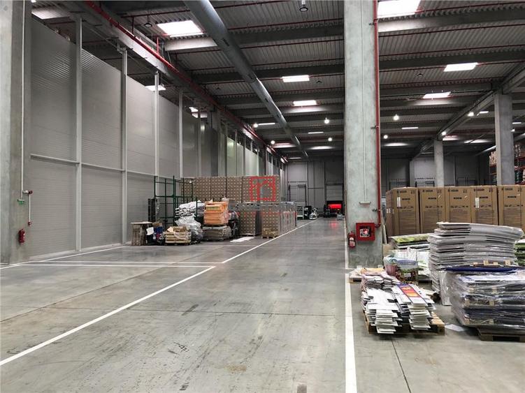 Depozit/hala/spatiu industrial Mogosoaia - Centura, Ilfov - 6