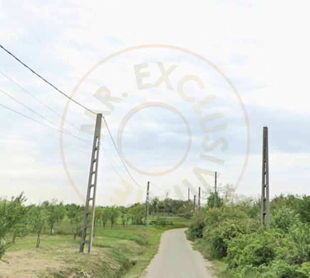 TEREN POIANA LACULUI - 4