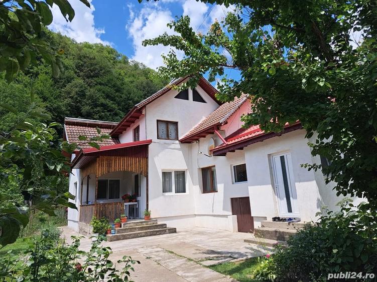 Casa de vanzare Cetateni Arges 100 mp + teren 1000 mp - 4
