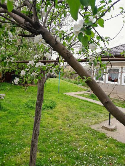 Casa vanzare Caracal 90m2 + teren 2110m2 - 9