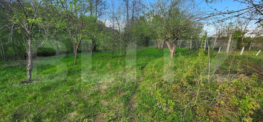 Teren 6650 mp, cu casa nefinalizata de 111 mp, in Nisipoasa. - 14