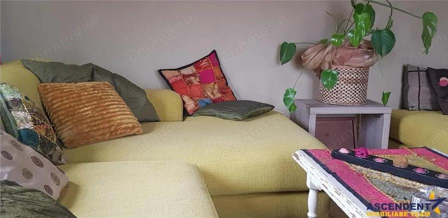 Pet friendly!FILM! In Bohemian Style,loc parcare,curte proprie,vedere panoramica,cartierul Troitelor - 35