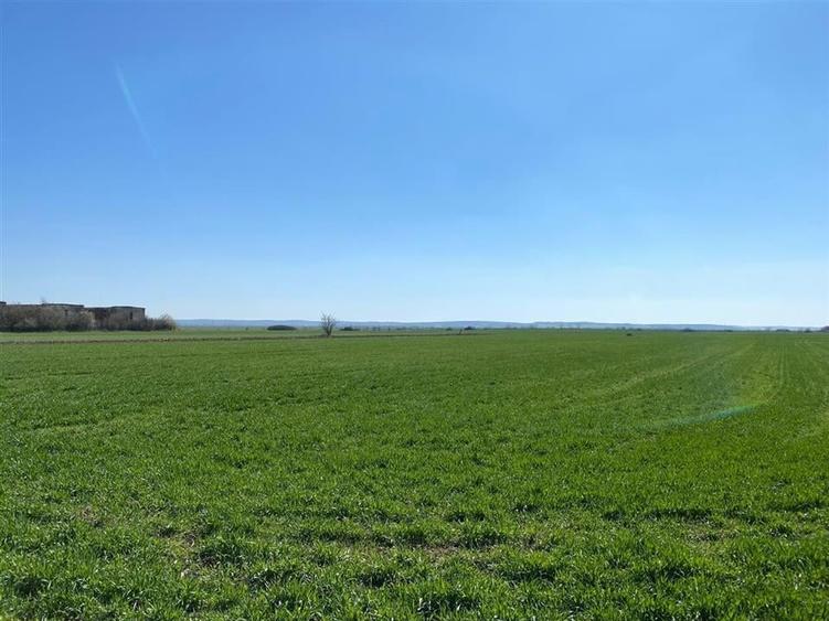 RECO Casa in  Tamaseu  18km de Oradea - 11