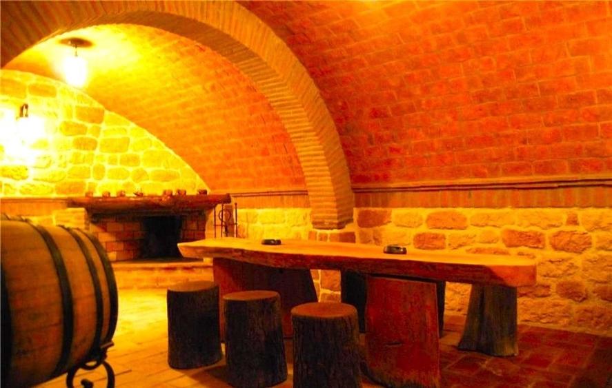 INVESTITIE!Imobil P+1,8 camere 380mp,teren 1629mp +crama superba+foisor - 8