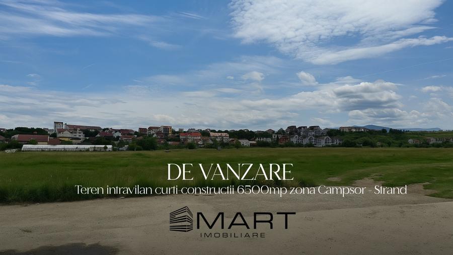 Teren intravilan 6500mp la drumul principal Campsor - Strand - 1