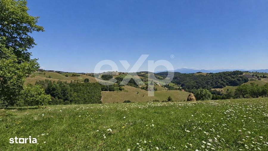1061 mp in Poiana Marului | Teren cu potential, la doar 1 km de asfalt - 7
