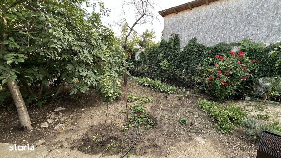 Casă cu 3 camere în Alexandriei